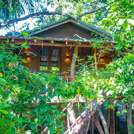 Hotel Dambulla Wilderness World Eksteriør billede