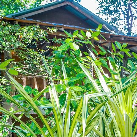 Hotel Dambulla Wilderness World Eksteriør billede