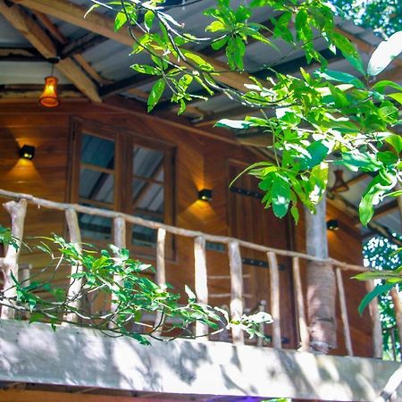 Hotel Dambulla Wilderness World Eksteriør billede