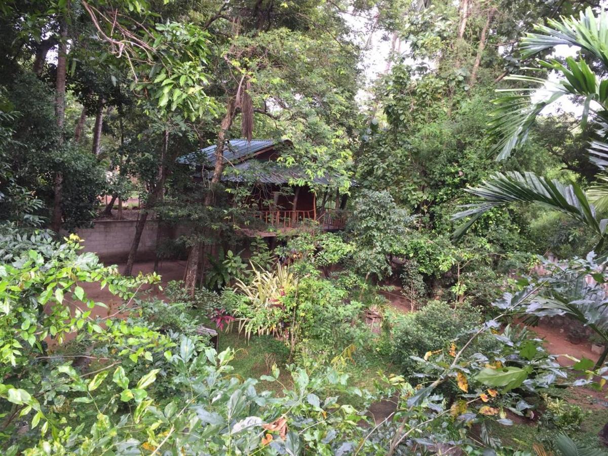 Hotel Dambulla Wilderness World Eksteriør billede
