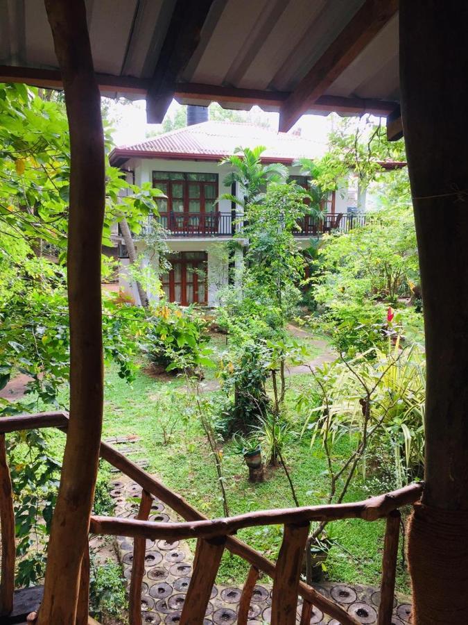 Hotel Dambulla Wilderness World Eksteriør billede