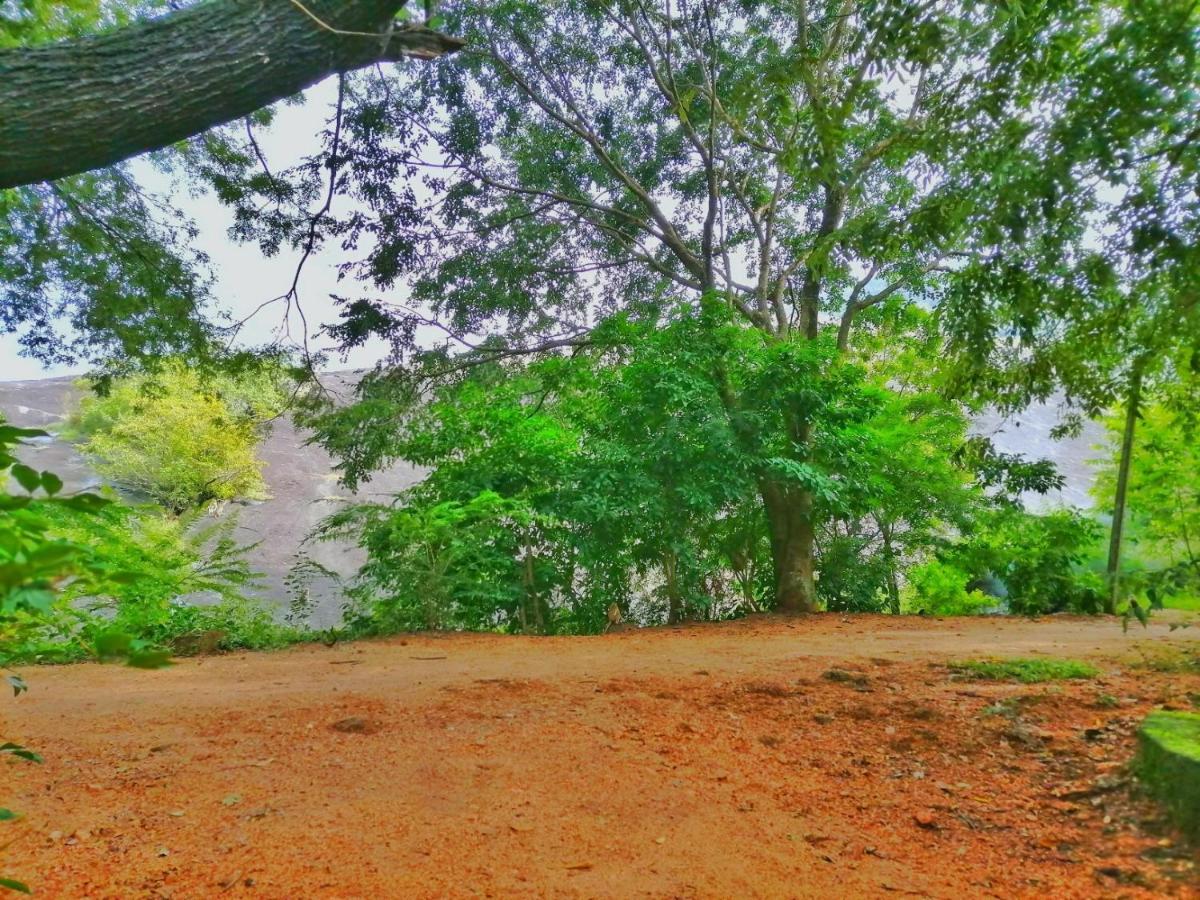 Hotel Dambulla Wilderness World Eksteriør billede