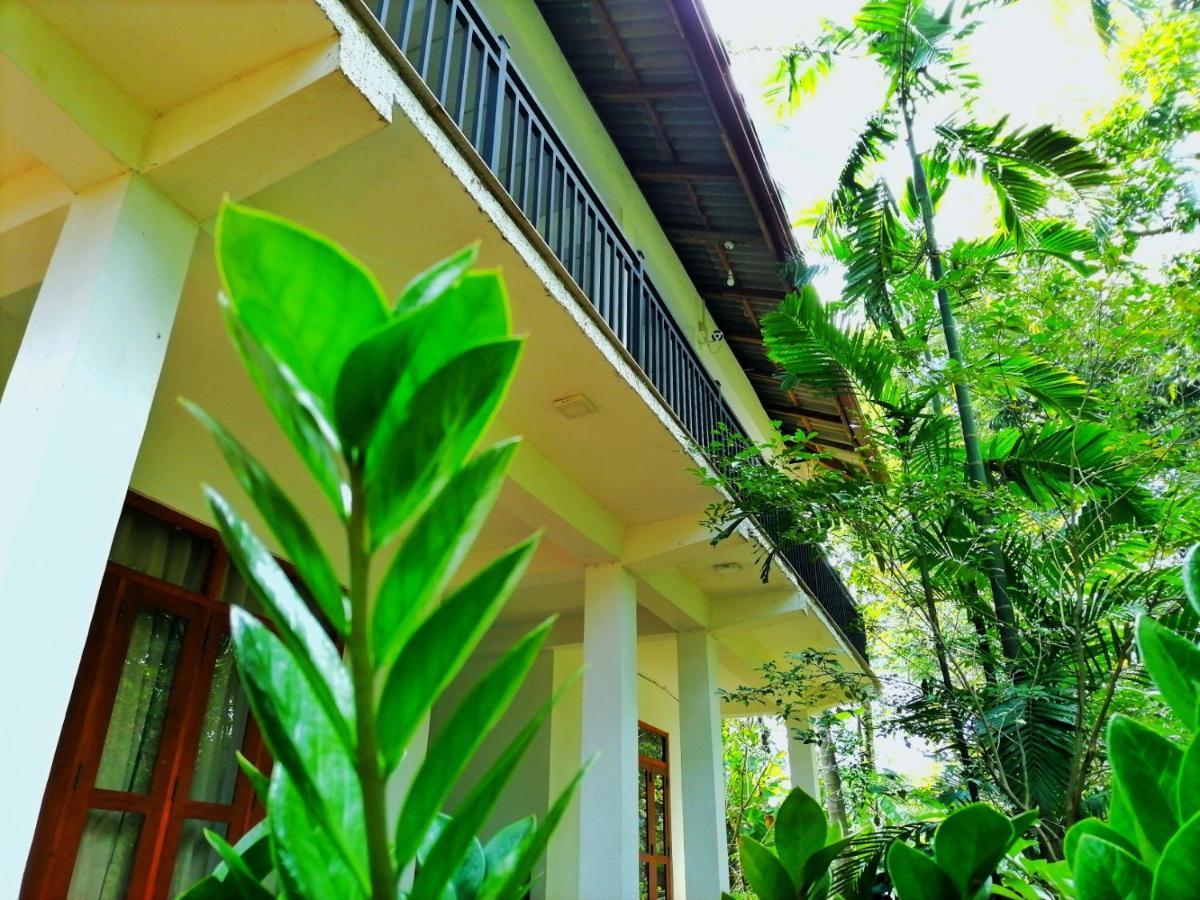 Hotel Dambulla Wilderness World Eksteriør billede