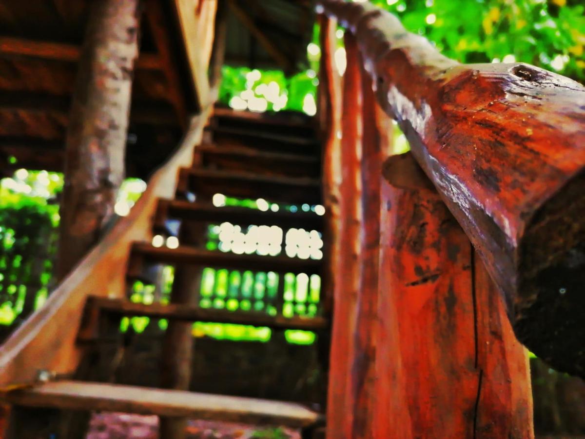 Hotel Dambulla Wilderness World Eksteriør billede
