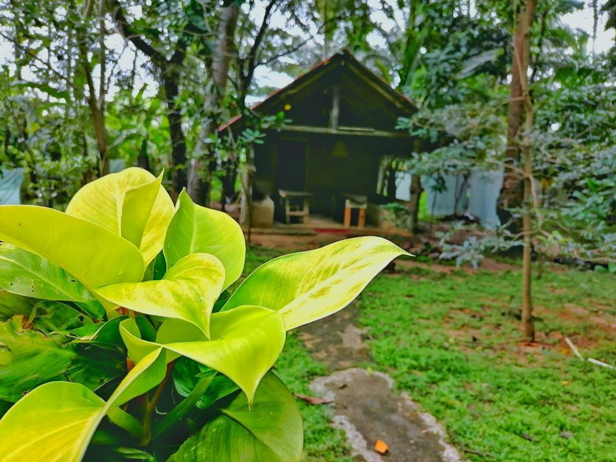 Hotel Dambulla Wilderness World Eksteriør billede