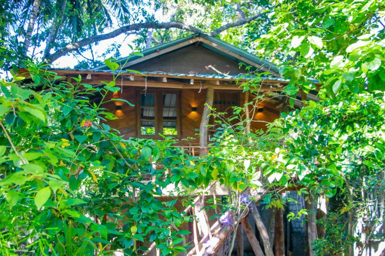 Hotel Dambulla Wilderness World Eksteriør billede