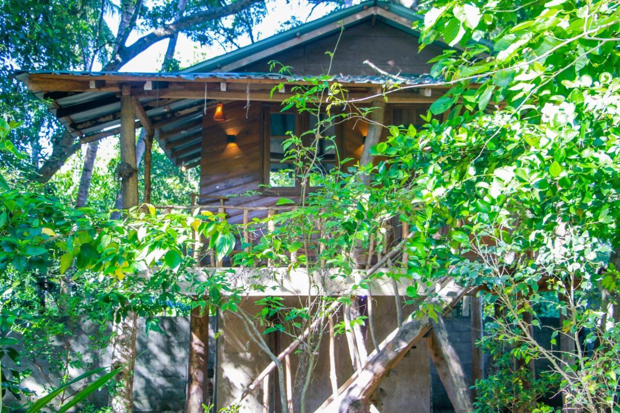Hotel Dambulla Wilderness World Eksteriør billede